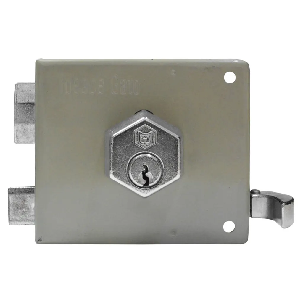 CHAPA DE S/P GATO MASTER 64 IZQUIERDA (VF6)