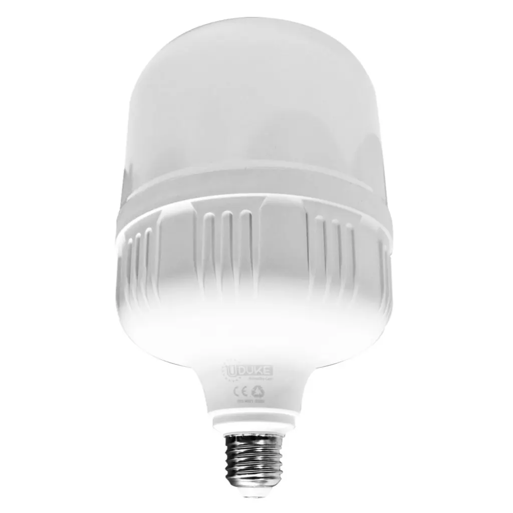 BOMBILLO LED 50W LUZ DIA E27 MULTIVOLTAGE (ZFR25)