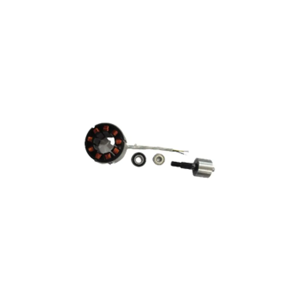 MOTOR TSTLI20018 (TSTLI20018-SP-17/18)