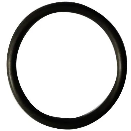 ORING FLUOR 55 X 5.3 (UTH220502-SP-71)